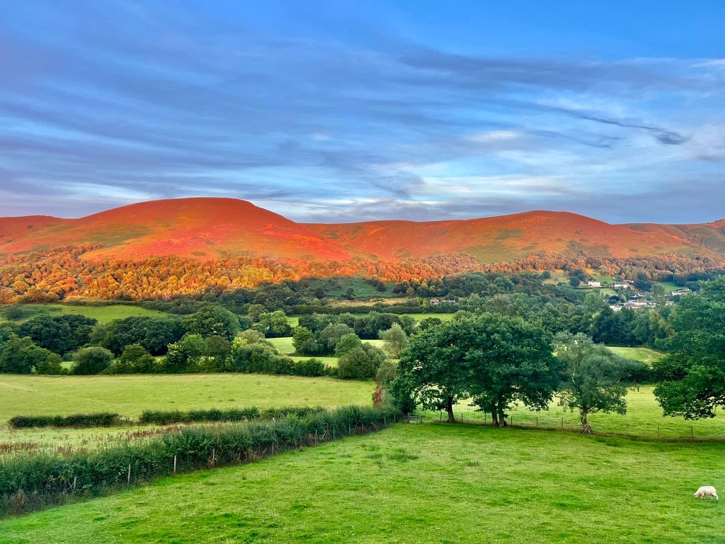 The Stiperstones ridge and surrounding landscape